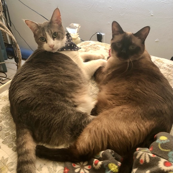 Meet your Posher, Lise - Picture 8 of 8